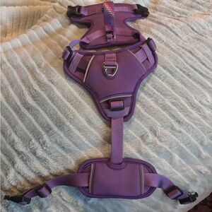 Small Purple Dog Harness